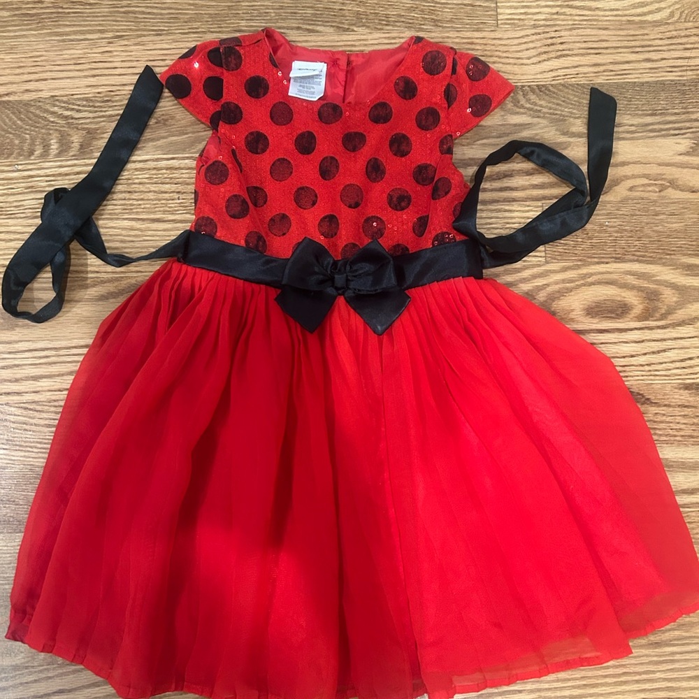 Disney Red and Black Ladybug Dance Costume